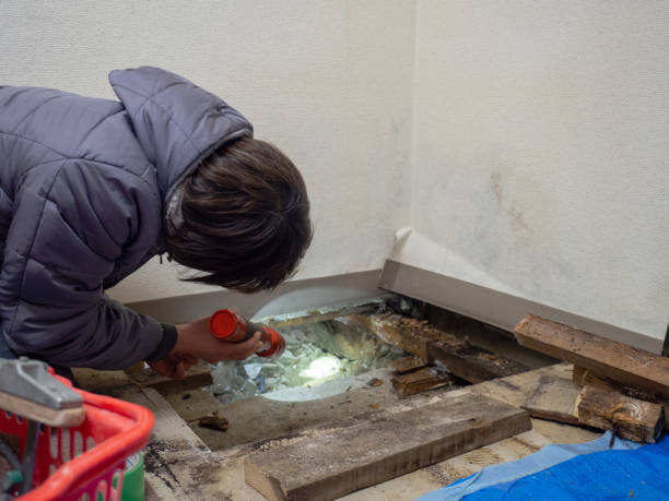 Best Comprehensive Air Testing for Mold Contaminants  in Pleasant Ridge, MI