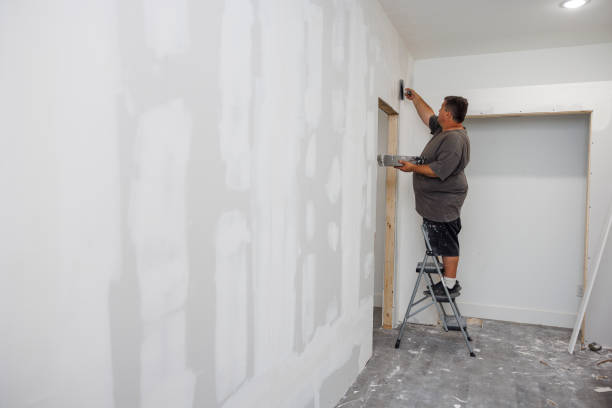 Best Water Damage & Mold Remediation  in Pleasant Ridge, MI