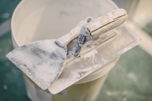 Best Mold Odor Removal Services  in Pleasant Ridge, MI